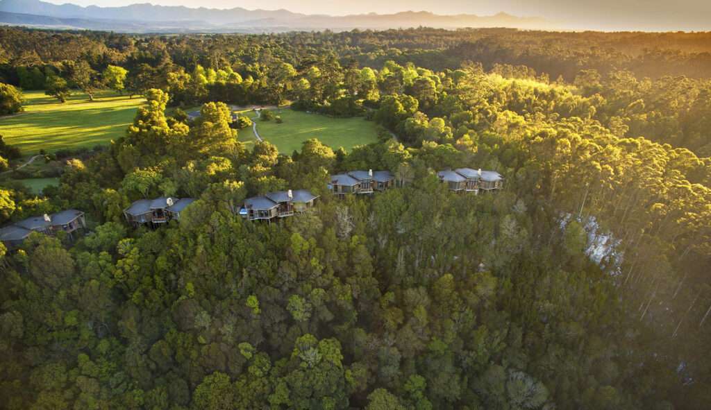 Tsala Treetop Lodge
