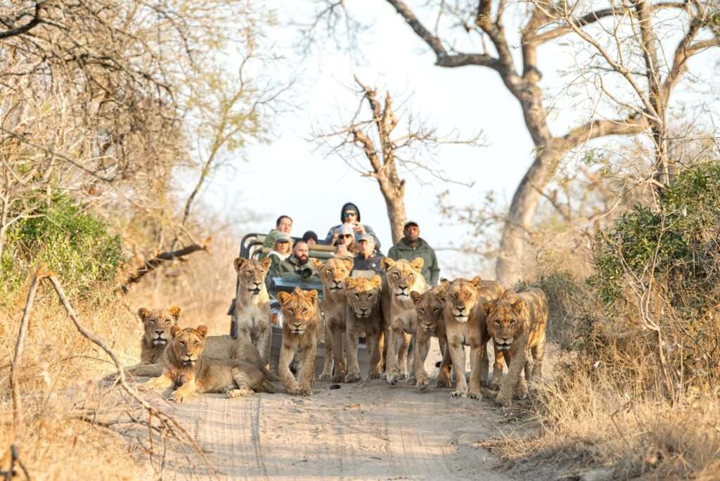 Malewane Lodge at Royal Malewane