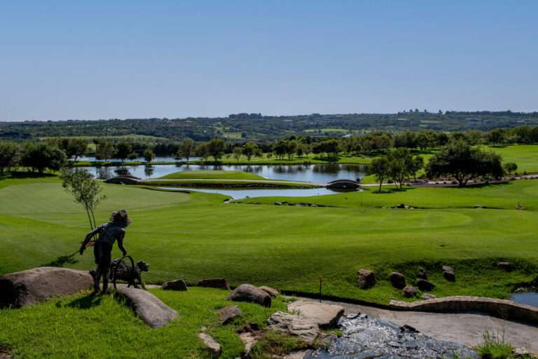 Steyn City Hotel by Saxon