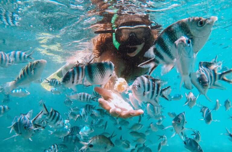 Blue Bay Marine Park in Mauritius