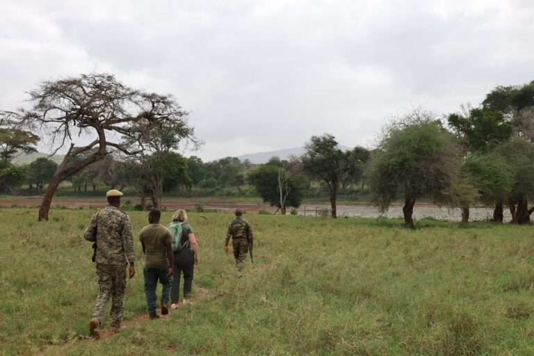 Salt Lick Safari Lodge in Tsavo National Park