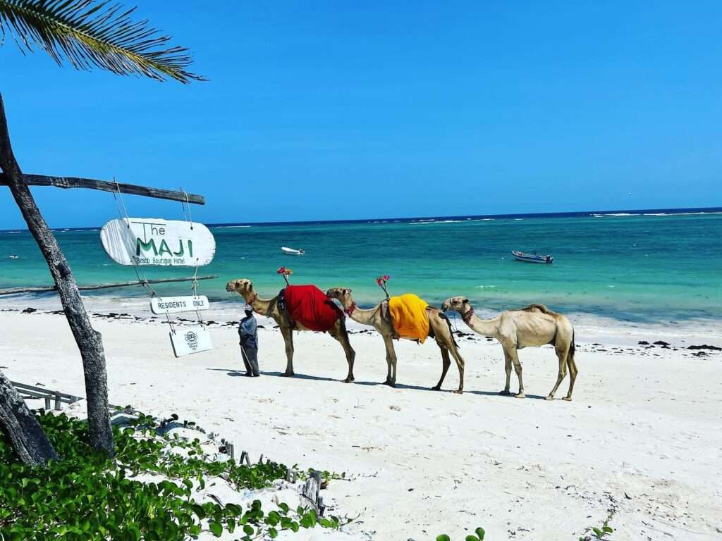 The Maji Beach Boutique Hotel