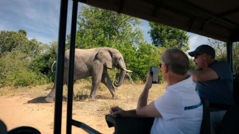 2026 SA Educational - Chobe Botswana (57)