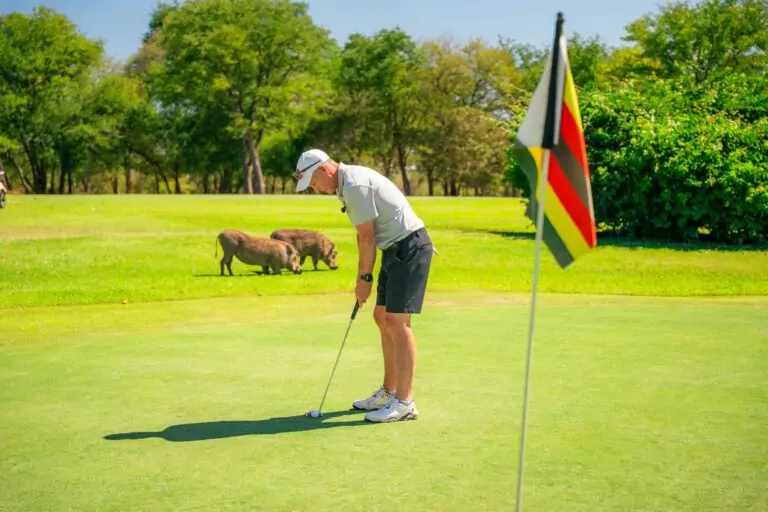 Golf Tour Operator